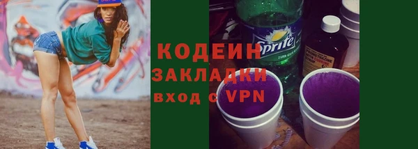 шишки Вяземский