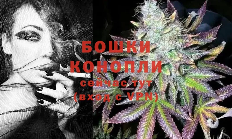 Шишки марихуана OG Kush  где купить наркотик  Новодвинск 